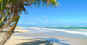 Ein Bild vom Strand der Dominikanischen Republik