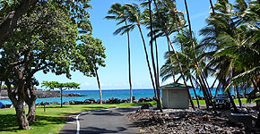 Bild einer Küstenstrasse auf der Insel Hawaii